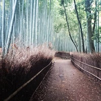 Photo taken at Arashiyama Bamboo Grove by おやぶん on 4/23/2016
