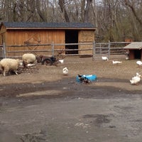 Makinajian Poultry Farm Farm In Huntington