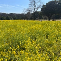 Photo taken at Hamarikyu Gardens by 果 on 3/17/2024