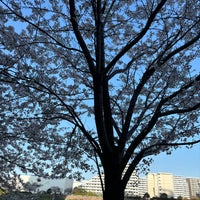 Photo taken at Ishikawajima Park by 果 on 4/10/2024