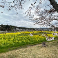 大御堂観音寺 Visitors 大御堂観音寺 Visitors