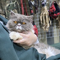 safari pet store near me