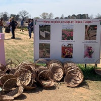 Foto tomada en Texas-Tulips, LLC  por Beni G. el 3/21/2021