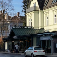Photo taken at Blumenstube Kolb by Brunold L. on 1/20/2021