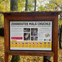 Photo taken at Zoo Malá Chuchle by Anežka K. on 10/21/2022