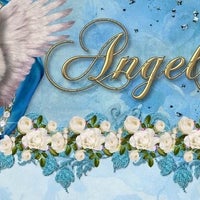 angellcats ragdolls