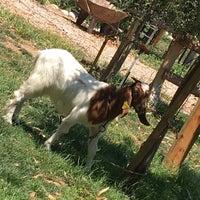 Foto diambil di Kanatlı Bahçem oleh Efdalde B. pada 6/17/2017