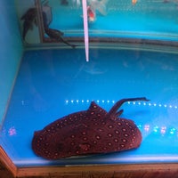 Pusat Akuatik Ikia Aquaculture Technology Sdn Bhd Melaka Melaka