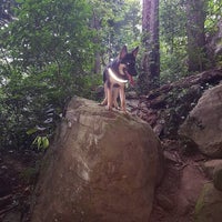 Photo taken at Cachoeira dos Primatas by Pablo Q. on 12/29/2016
