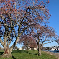 Photo taken at Harbor Island Park by Leslie-Anne B. on 4/22/2020