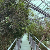 Photo taken at Vijver (De Hortus Botanicus) by yousef on 8/3/2023