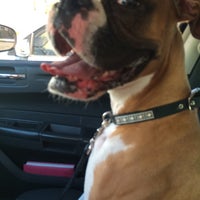 durango animal hospital hours