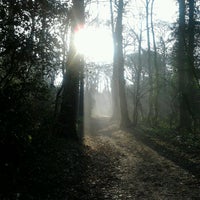 Photo taken at Lesnes Abbey Woods by Penelope B. on 2/17/2013