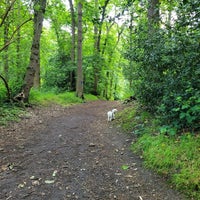 Photo taken at Lesnes Abbey Woods by Penelope B. on 6/2/2022