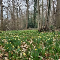 Photo taken at Lesnes Abbey Woods by Penelope B. on 3/4/2023