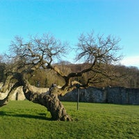 Photo taken at Lesnes Abbey Woods by Penelope B. on 3/5/2013