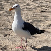 Photo taken at Will Rogers State Beach by Eduardo A. on 7/26/2023