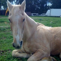 Photo taken at Morgan&amp;#39;s Pet Escape by Kelsey C. on 7/16/2012