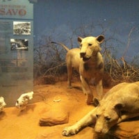 Photo taken at The Man-Eaters Of Tsavo by Ben Z. on 8/16/2012