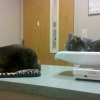 Photo taken at Bowman Animal Hospital and Cat Clinic by Crystal W. on 7/20/2012