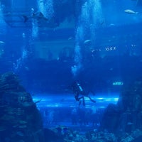 Photo taken at Dubai Aquarium by Abdulaziz on 4/20/2024