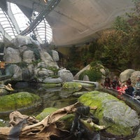 Photo taken at Biodôme de Montréal by Aubrey B. on 4/3/2014