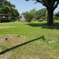 公園 蓮池