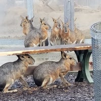 ふれあい動物王国 阿蘇ファームランド 南阿蘇村 熊本県