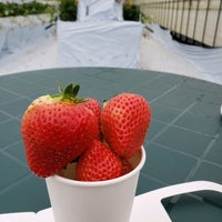 プーさんのいちご園 馬場600 3