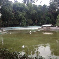 Photo taken at Parque México by ANa M. on 5/13/2013