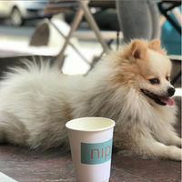 Photo taken at nip.coffee by nip.coffee on 8/29/2019