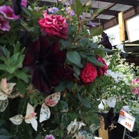 島忠 府中店 府中 1 Tip