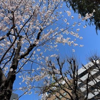 Photo taken at Kashiwagi Park by 南北 東. on 3/28/2022