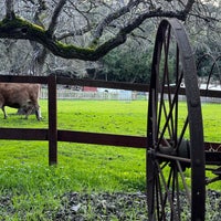 Photo taken at Deer Hollow Farm by Brenda T. on 2/10/2024