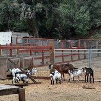 Photo taken at Deer Hollow Farm by Brenda T. on 11/23/2023