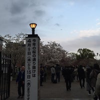 造幣局 桜の通り抜け 梅田 12 Tips 造幣局 桜の通り抜け 梅田 12 Tips