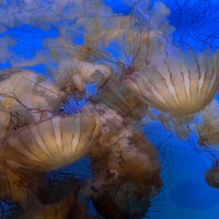 Photo taken at Audubon Aquarium of the Americas by Eliška K. on 9/9/2022