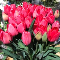 botanik garden butik melikgazi kayseri