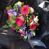 Rose Noire Chatelain Bruxelles Ixelles Région De