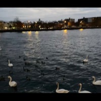 Photo taken at Sheepshead Bay Piers by R. on 11/15/2020
