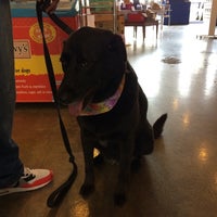 Soggy Paws South Loop 1912 S State St