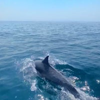Снимок сделан в Newport Landing Whale Watching пользователем Christian H. 11/24/2020