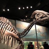 Photo taken at Hall Of Dinosaurs by Laura A. on 1/27/2018