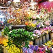 รูปภาพถ่ายที่ Queens Flower Delivery - Local Queens Florist โดย Jim B. เมื่อ 8/20/2014