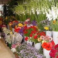 Foto tomada en Queens Flower Delivery - Local Queens Florist  por Jim B. el 8/20/2014