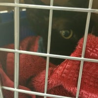 vca southpaws veterinary specialists & emergency center