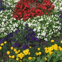 Theater Munster Theater In Munster