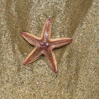 Photo taken at Costa da Caparica by Irina O. on 4/27/2023