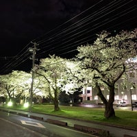 新潟職業能力開発短期大学校 University