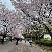 Photo taken at Osaka Castle Park by Diah A. on 4/9/2024